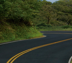 Rehabilitation And Reintegration Programs